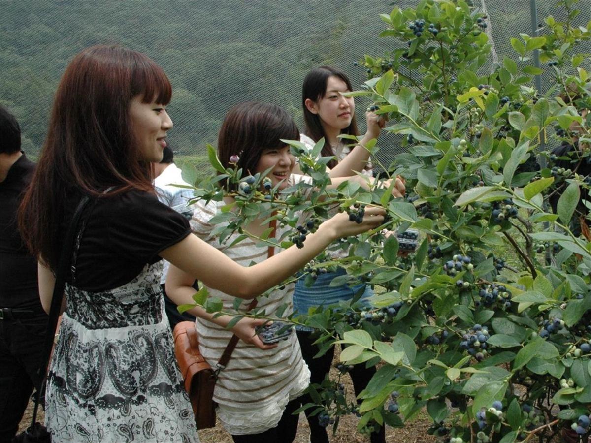 Rokugatsu-No-Mori Auberge Sano  Eksteriør billede